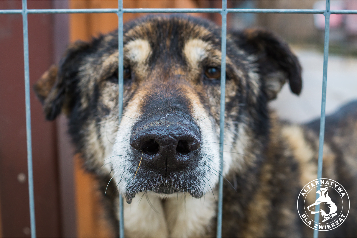 Bez edukacji bezdomność się nie skończy