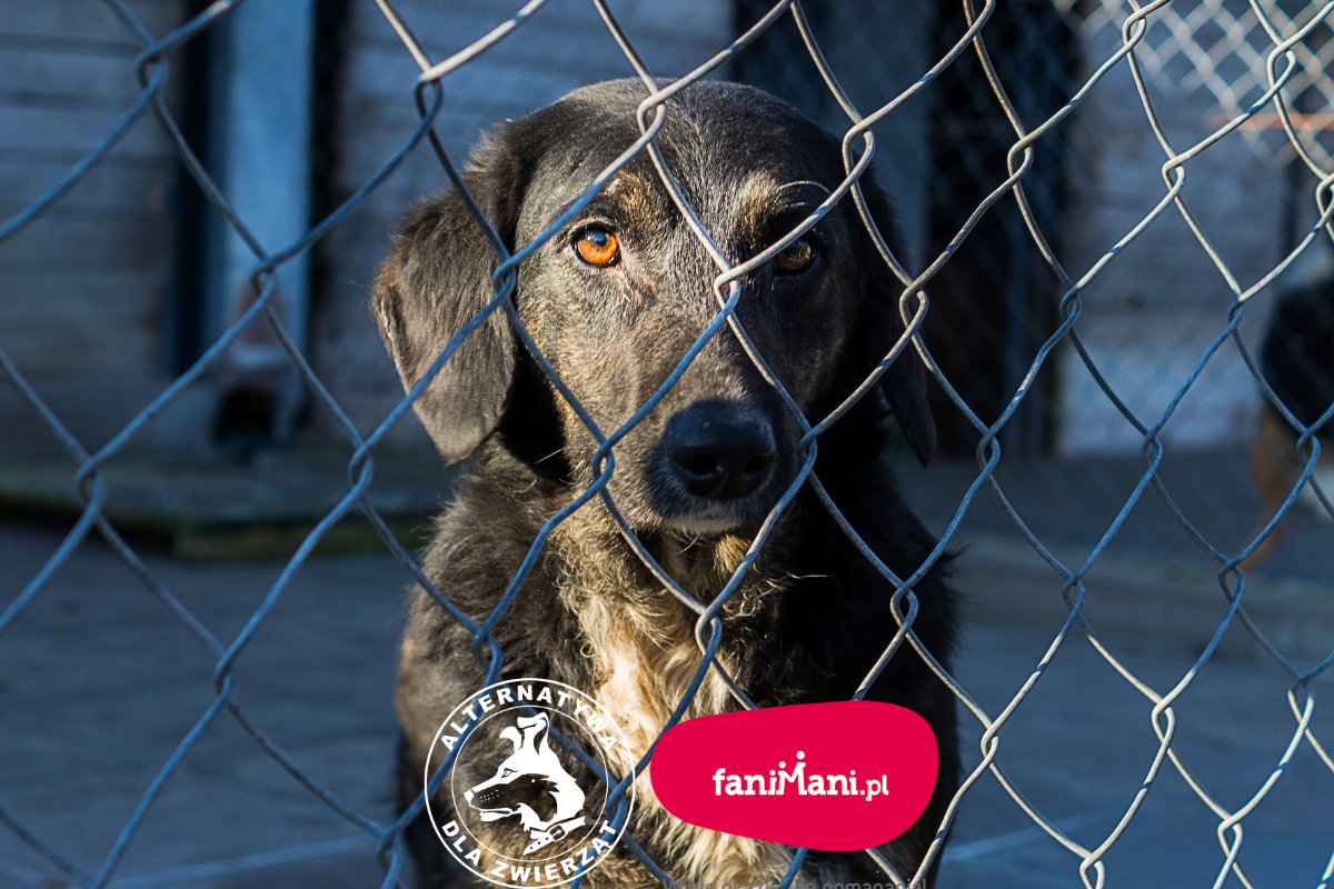 Wspomóż nas finansowo… i nie wydaj ani złotówki!