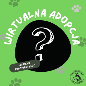 Adopcja wirtualna