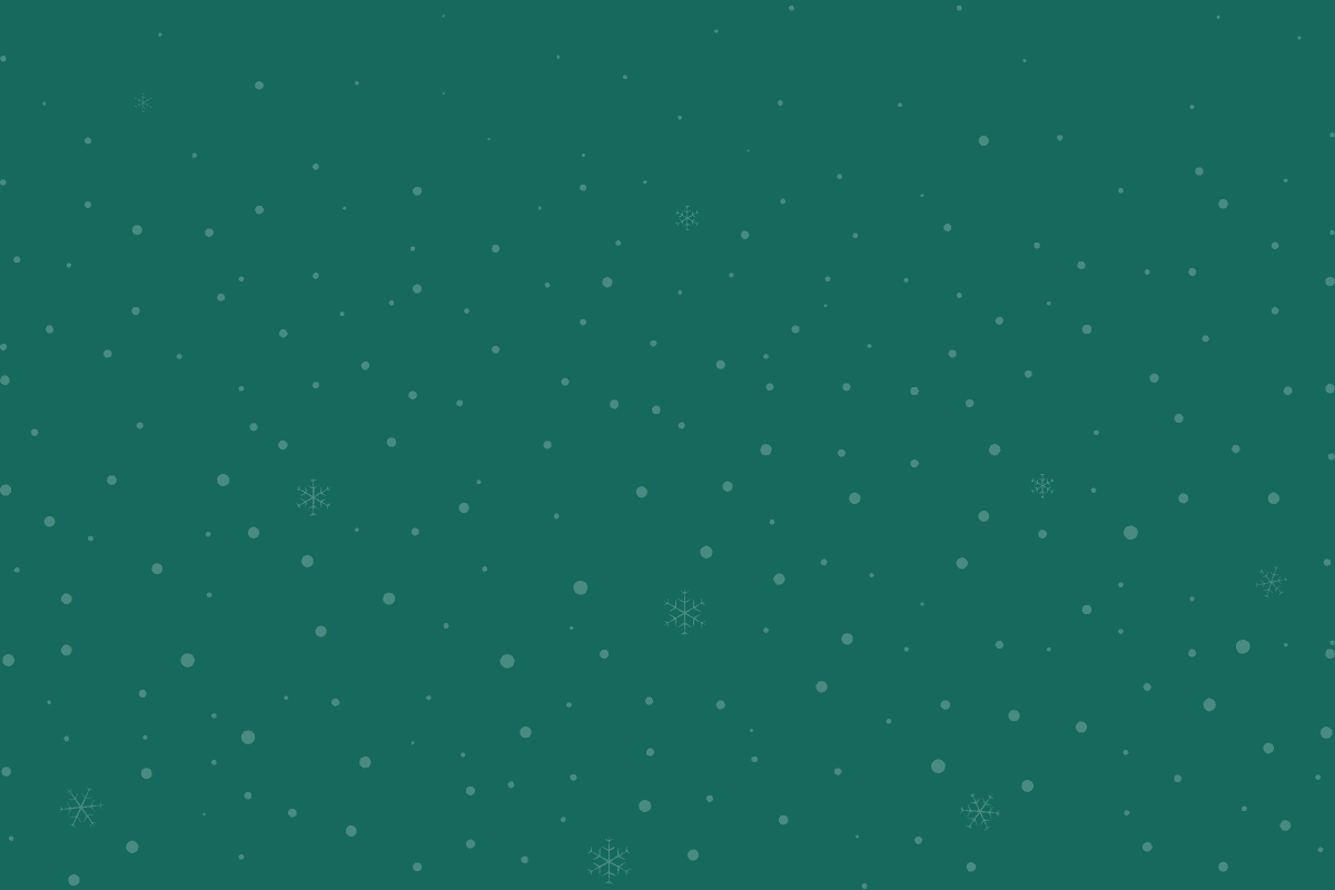 „Zostań Mikołajem dla bezdomnego zwierzaka” edycja 2024 – podsumowanie