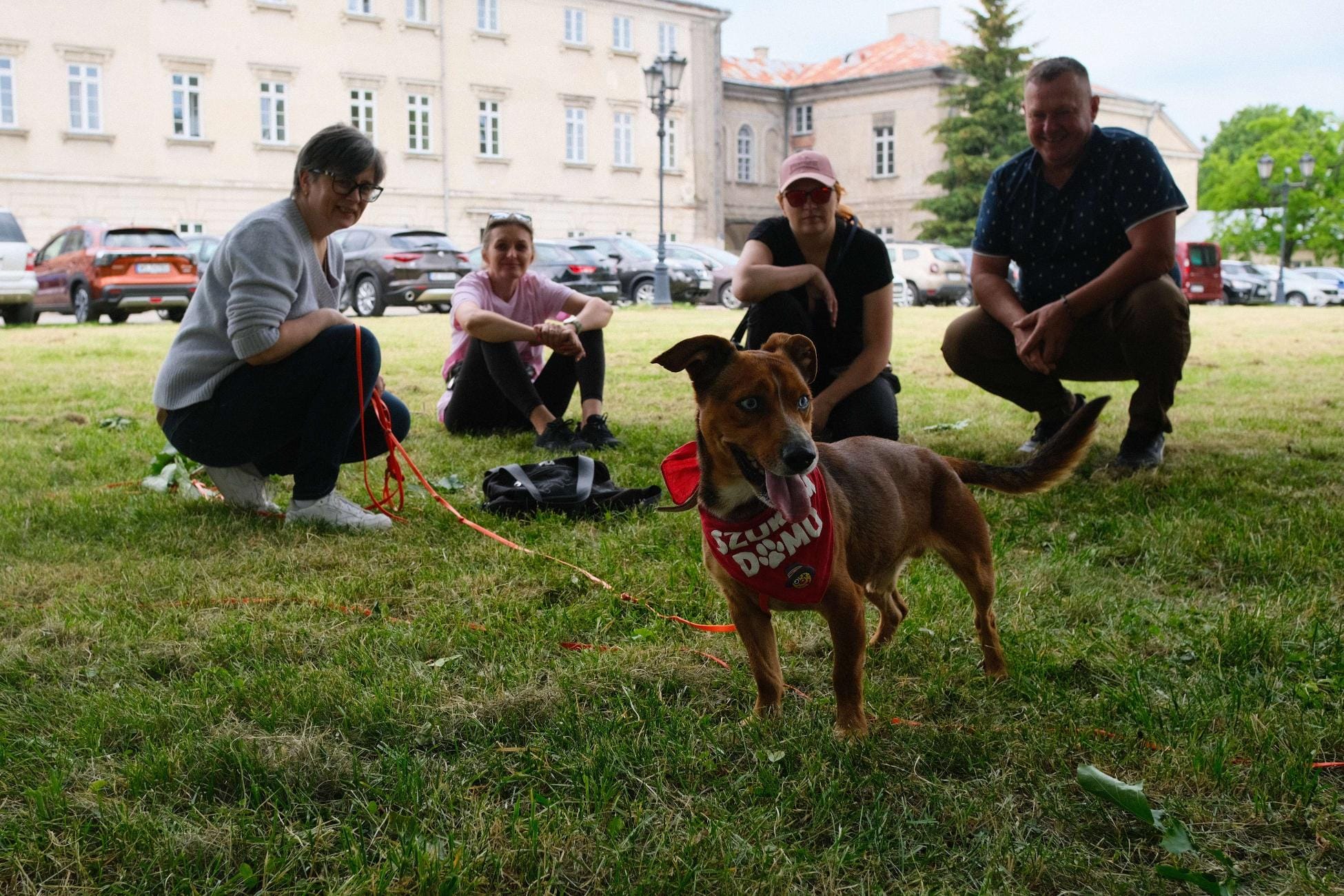 Podsumowanie półrocza 2025 roku